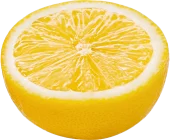 lemon-2